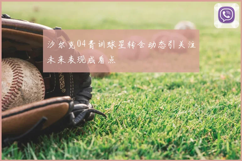 沙尔克04青训球星转会动态引关注未来表现成看点
