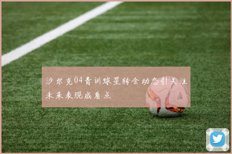 沙尔克04青训球星转会动态引关注未来表现成看点