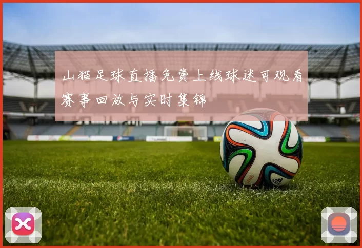 山猫足球直播免费上线球迷可观看赛事回放与实时集锦