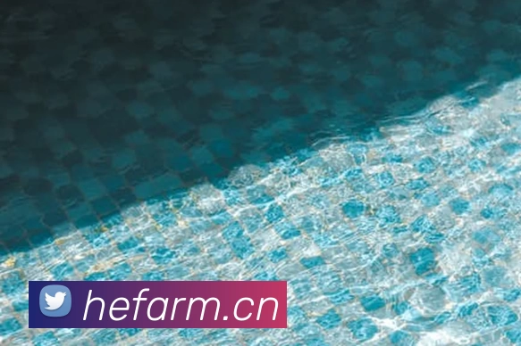 尊龙凯时人生就是搏(CHINA)官方网站平台生态图